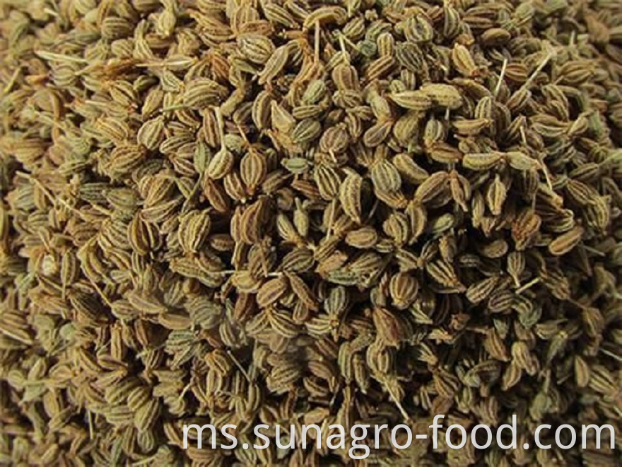 Pollution-Free Natural Dried Fennel